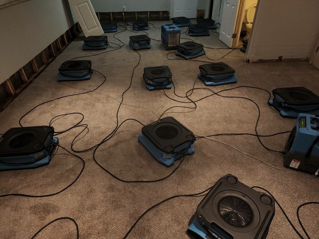 flooded basement cleanup