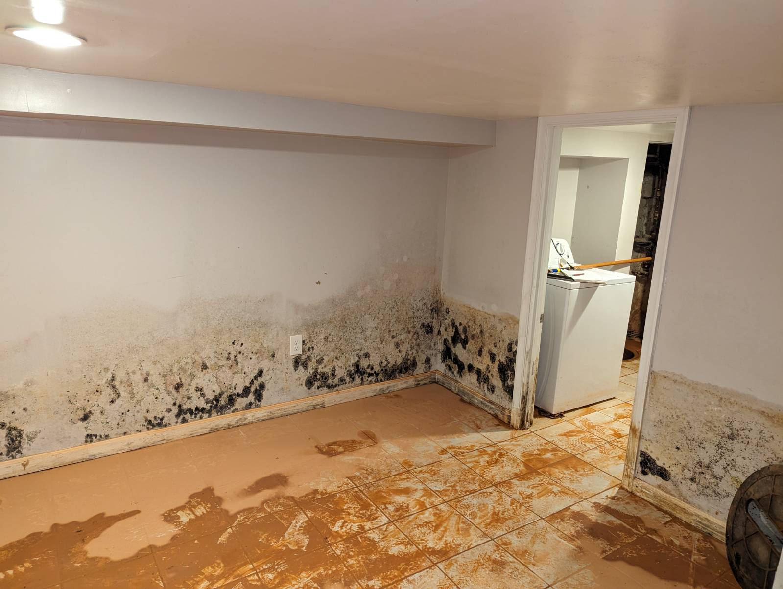 damaged floors and black mold wall