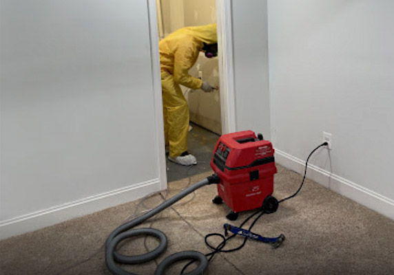 a dedicated tech working on mold removal