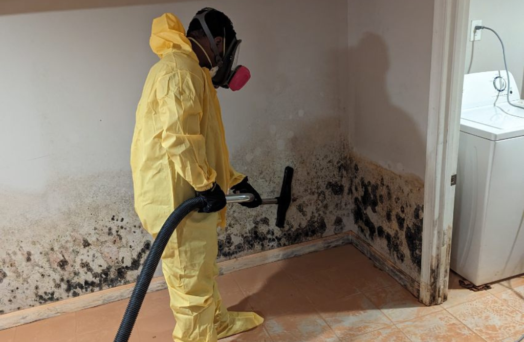 mold-removal-and-remediation-by-Top-To-Bottom-Renovation-