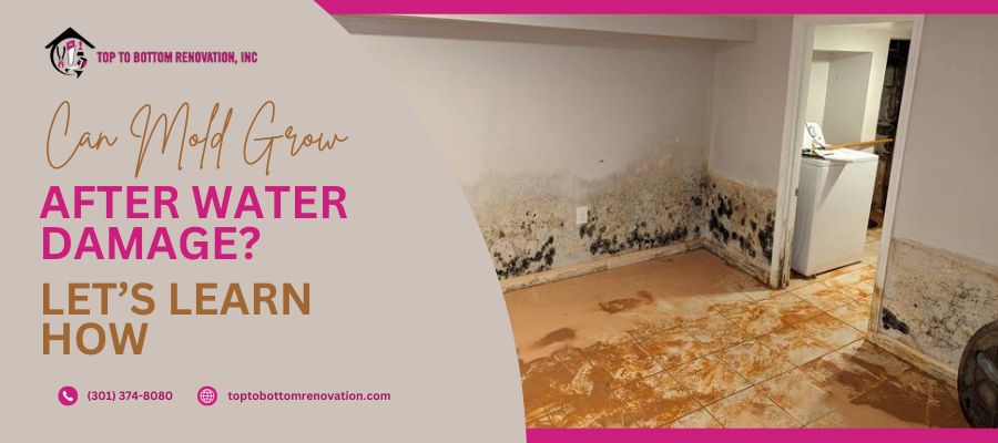 can mold grow after water damage