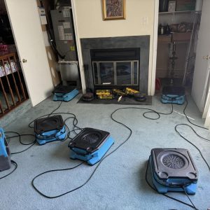 Multiple air movers drying carpeted living room after water damage.