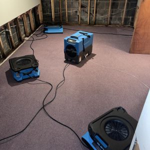 Basement drying process with commercial dehumidifier and air movers placed on carpeted floor during water damage restoration and moisture removal
