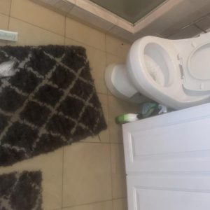 Bathroom floor with wet rug and toilet during water damage cleanup process