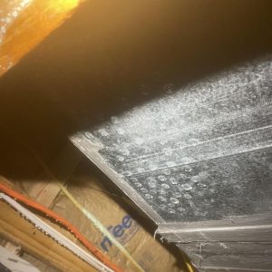Mold growth on HVAC ductwork inside crawl space during inspection and remediation process