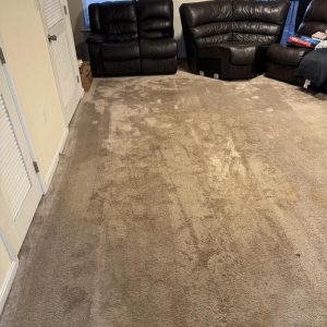 Carpet with visible water damage stains.