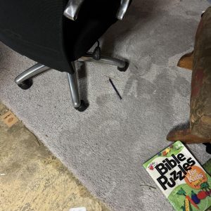 Carpet with visible water damage near furniture.