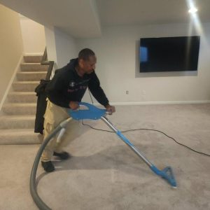 Technician extracting water from basement carpet using professional drying equipment