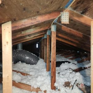 Attic with exposed wooden beams and loose insulation during inspection and remediation work