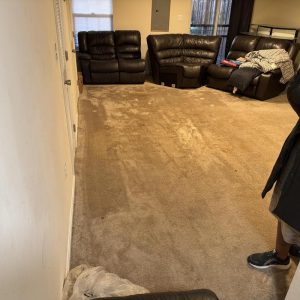 Living room carpet showing water damage and discoloration.