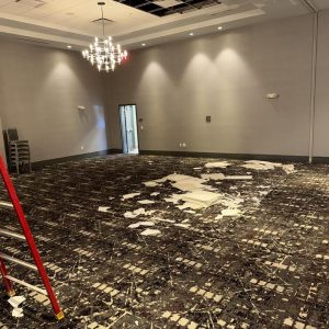 Commercial room with water-damaged carpet and ceiling debris.