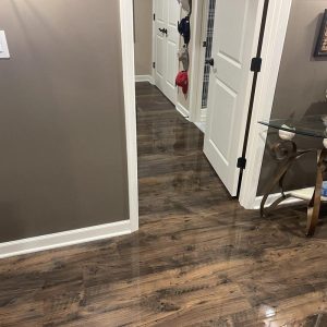Water pooling on hardwood floor in hallway near closet.