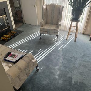 Water-stained carpet in a living room with chairs and sunlight through blinds.