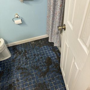 Bathroom floor with visible water damage and dark staining on tile near toilet and door.