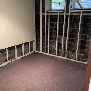 Basement room with carpet flooring and exposed wall framing, showing moisture-damaged drywall removal and visible concrete block foundation during restoration.