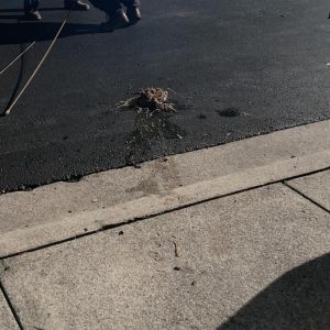 Standing water and debris on asphalt driveway near curb, indicating exterior water damage and drainage issue.