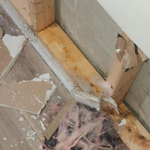 Removed drywall and exposed wall studs with insulation debris during water damage repair process