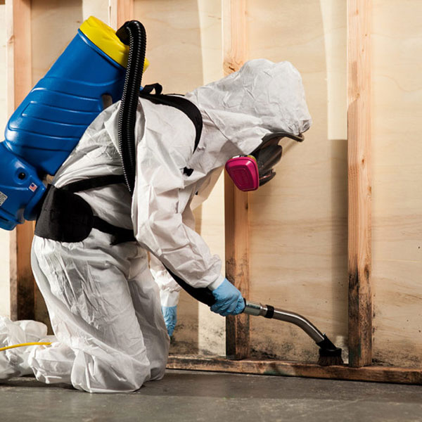 Technician in protective gear treating mold on a wall.